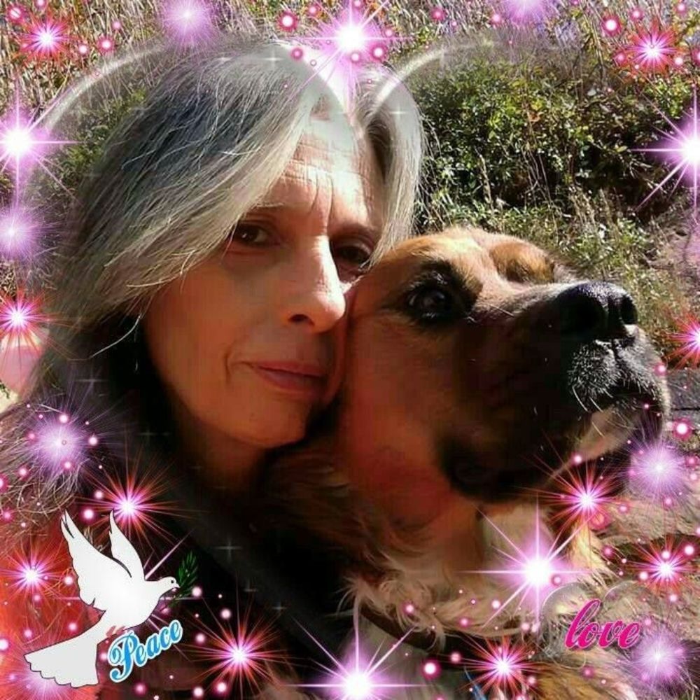 Meet your Posher, Dreama k